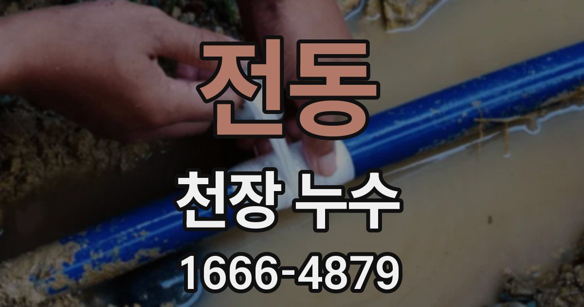 전동 천장 누수