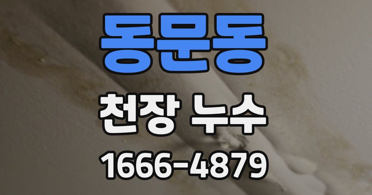 동문동 천장 누수
