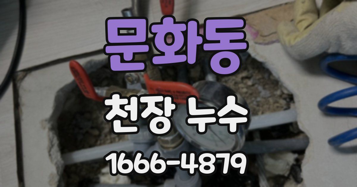 문화동 천장 누수