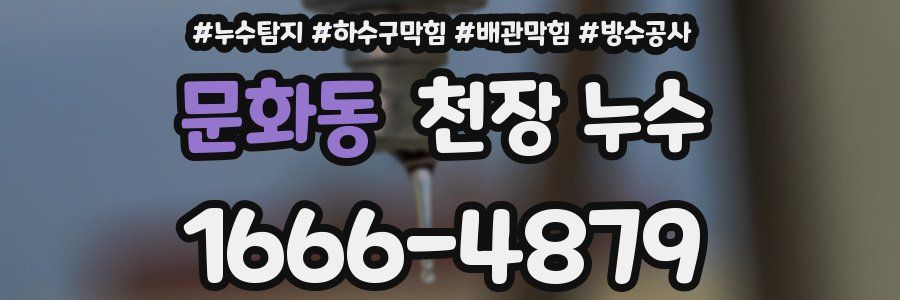문화동 천장 누수