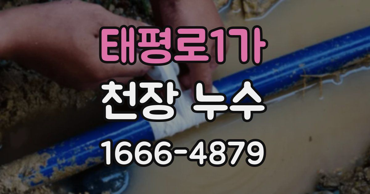 태평로1가 천장 누수