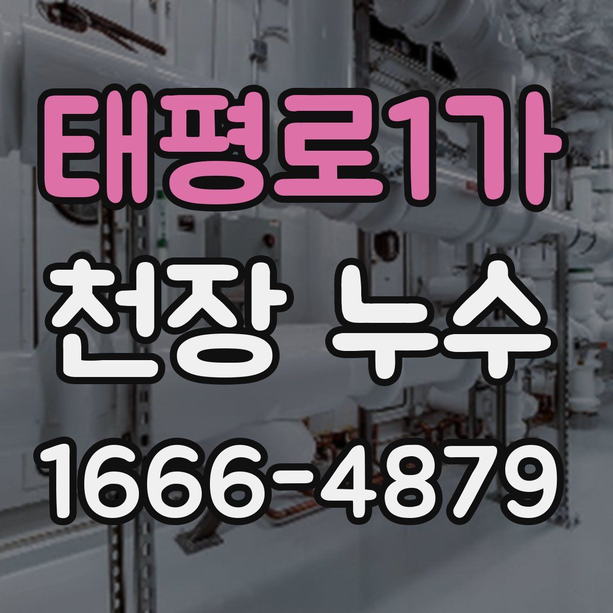 태평로1가 천장 누수