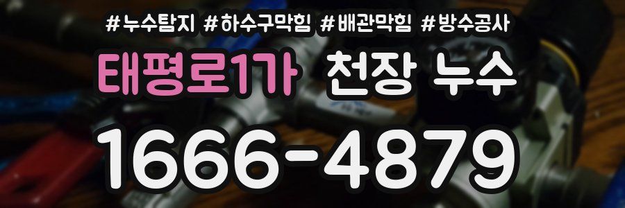 태평로1가 천장 누수