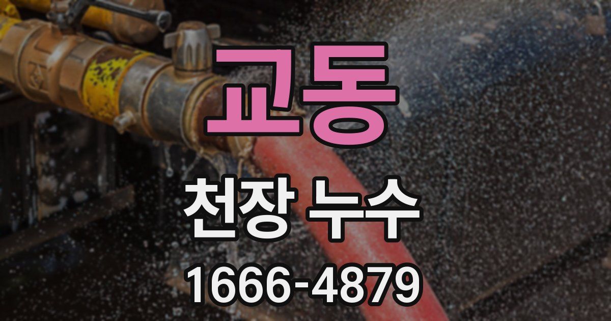 교동 천장 누수