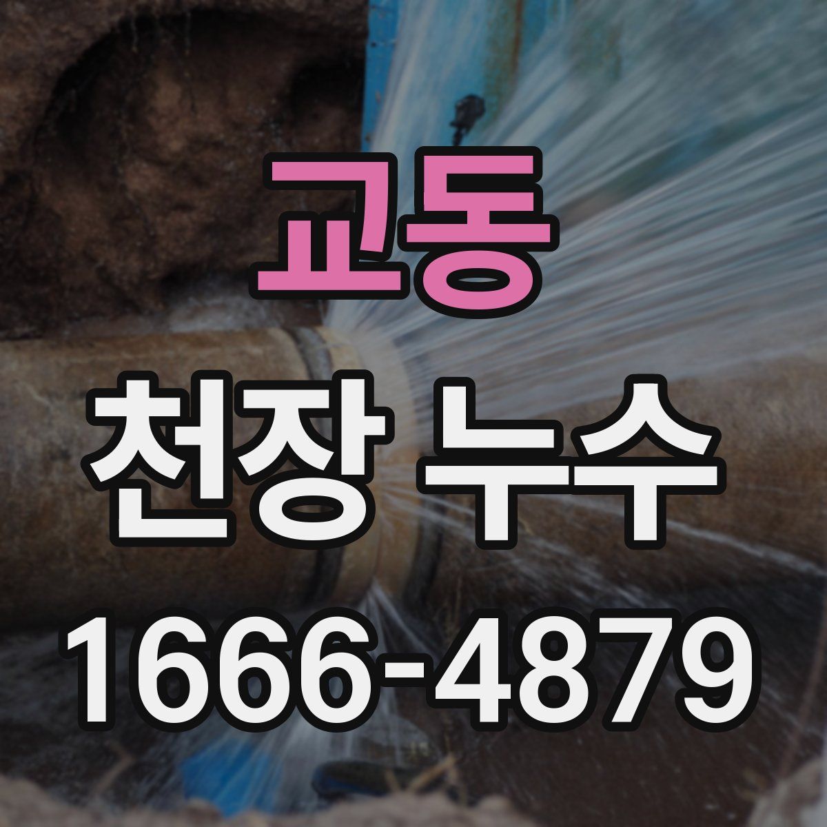 교동 천장 누수