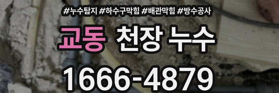 교동 천장 누수