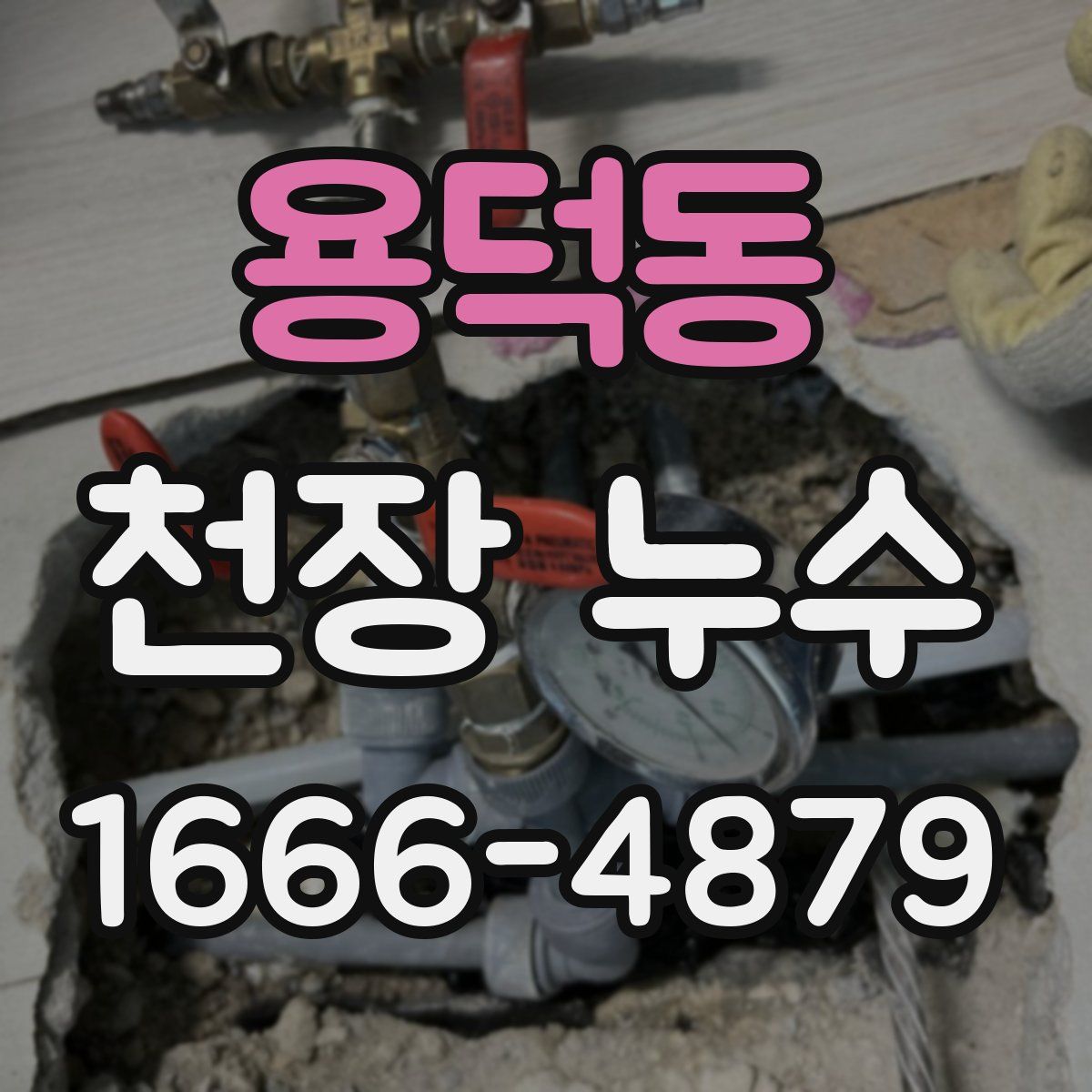 용덕동 천장 누수