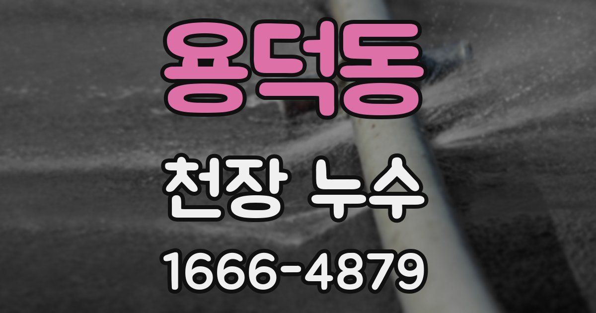 용덕동 천장 누수