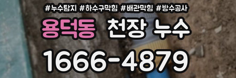용덕동 천장 누수