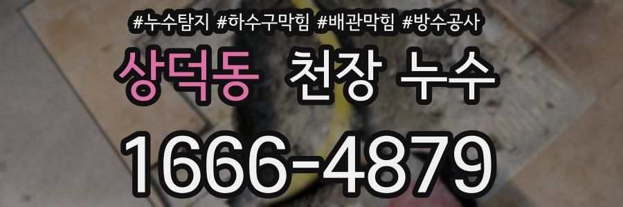 상덕동 천장 누수