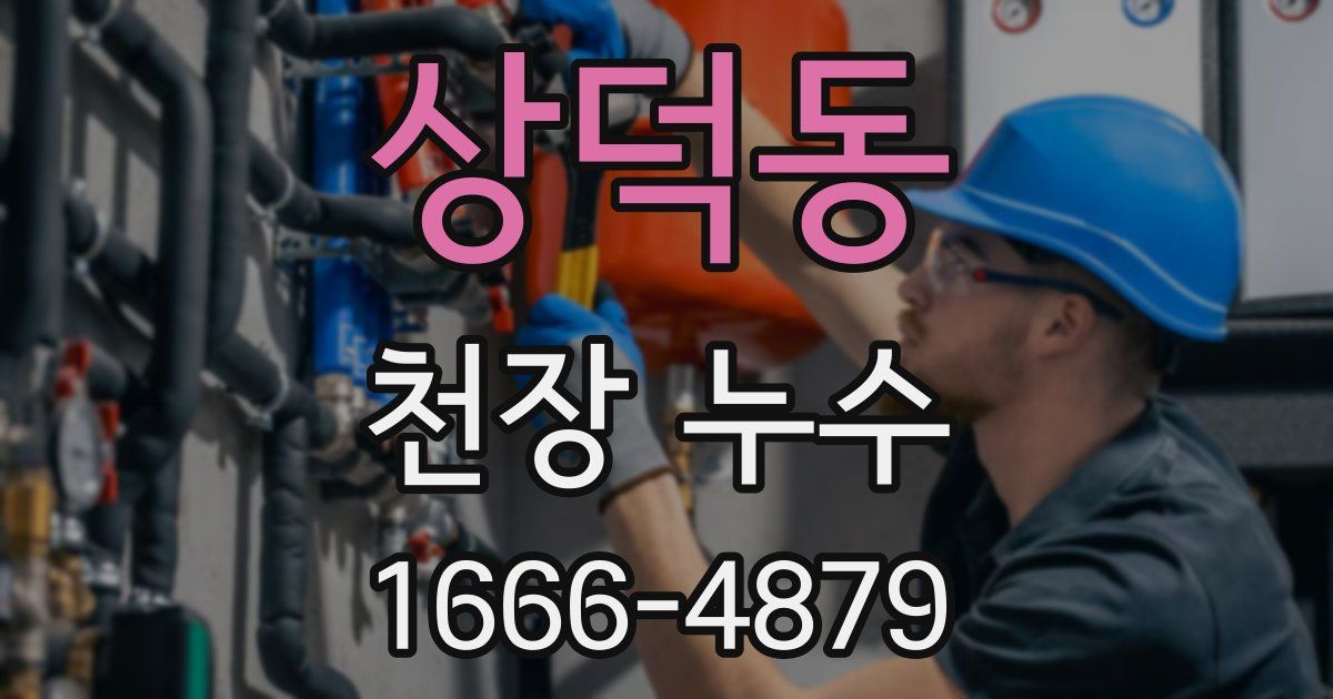 상덕동 천장 누수