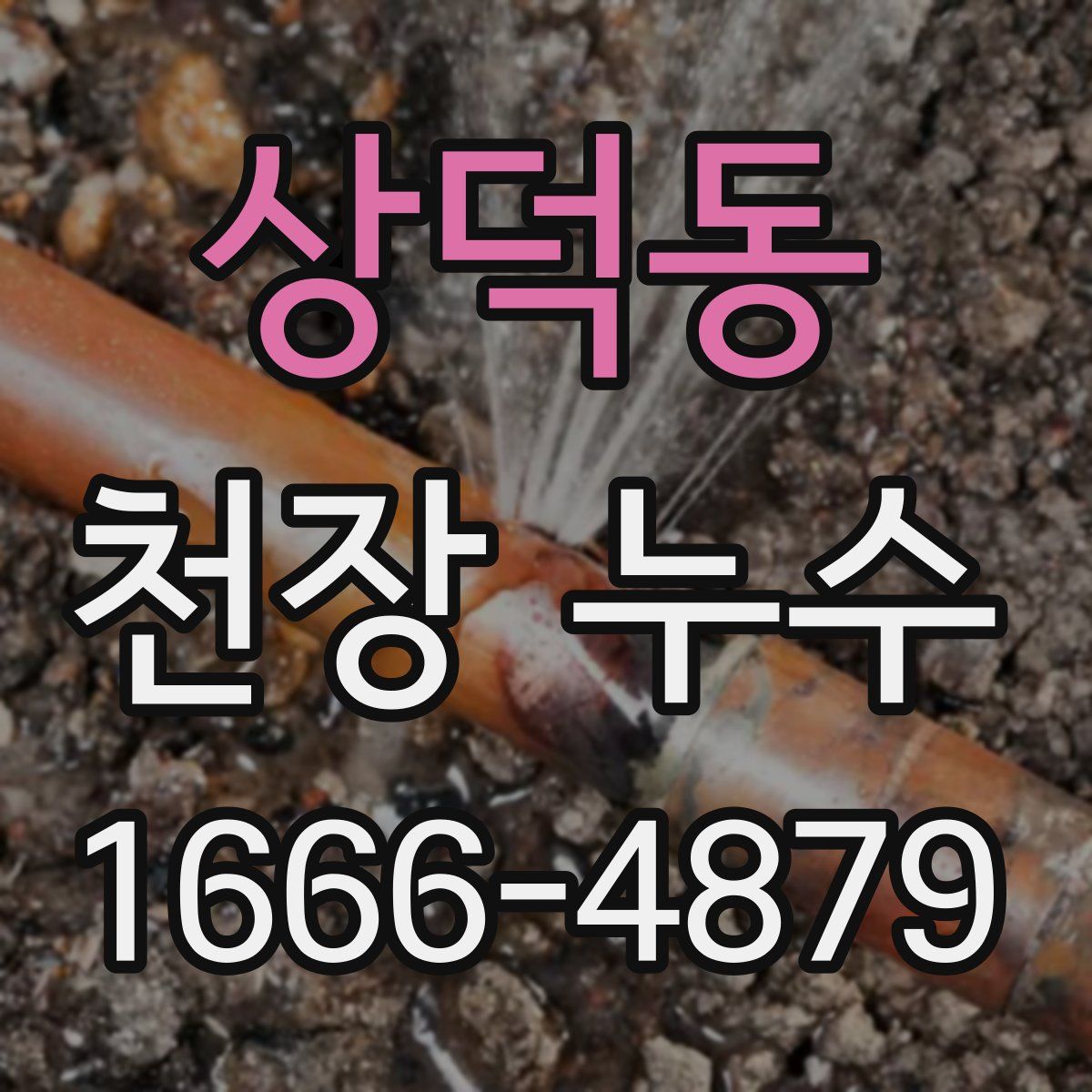 상덕동 천장 누수