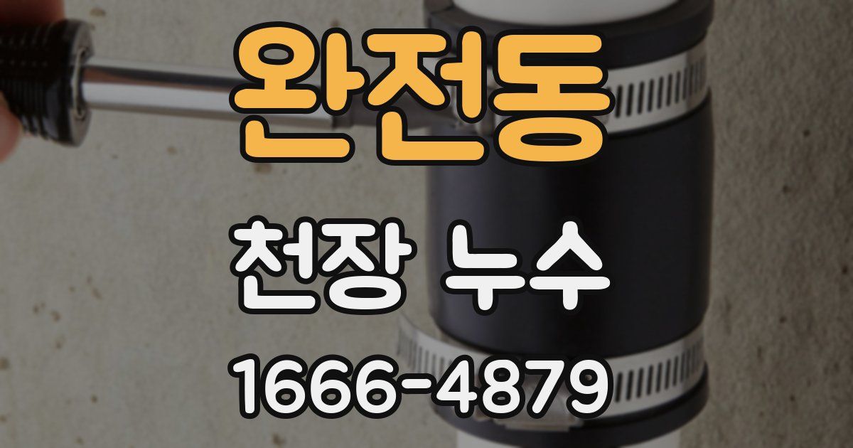 완전동 천장 누수