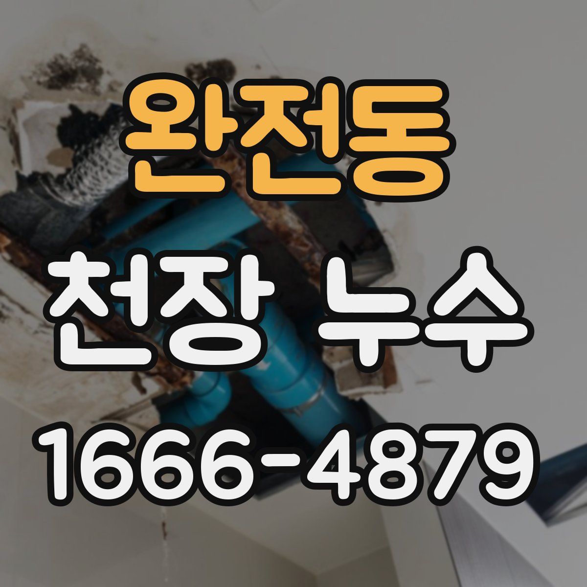 완전동 천장 누수