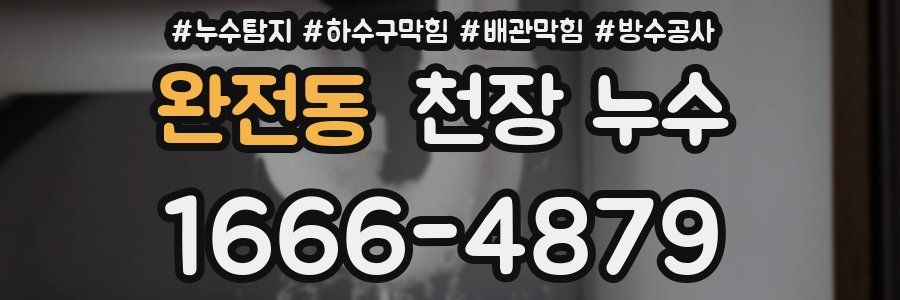 완전동 천장 누수