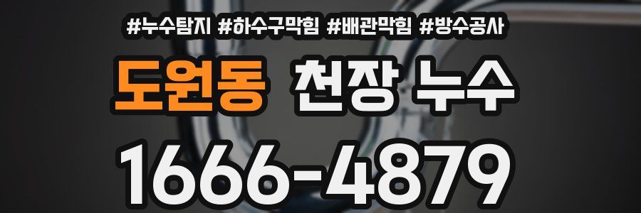 도원동 천장 누수
