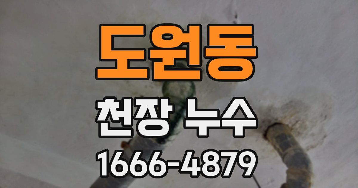 도원동 천장 누수