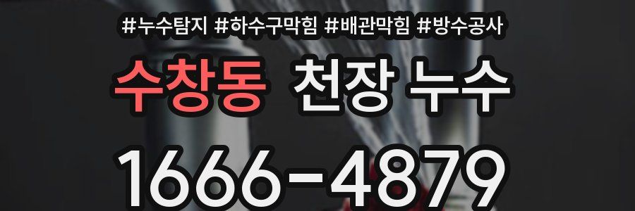 수창동 천장 누수