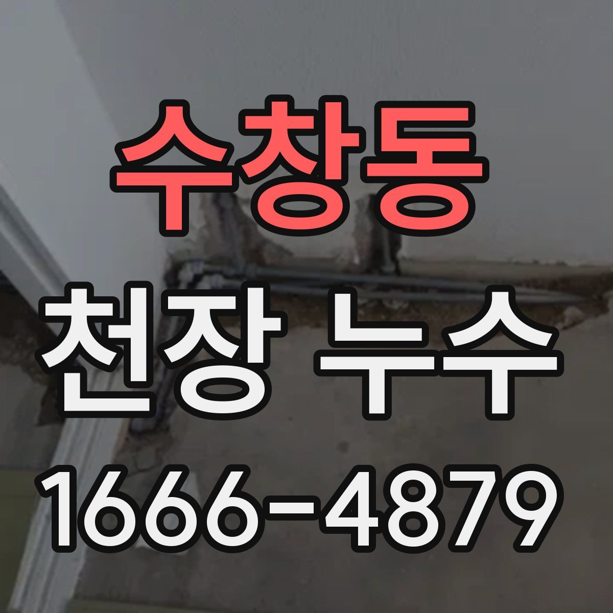 수창동 천장 누수