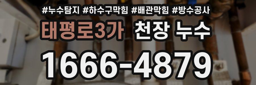 태평로3가 천장 누수