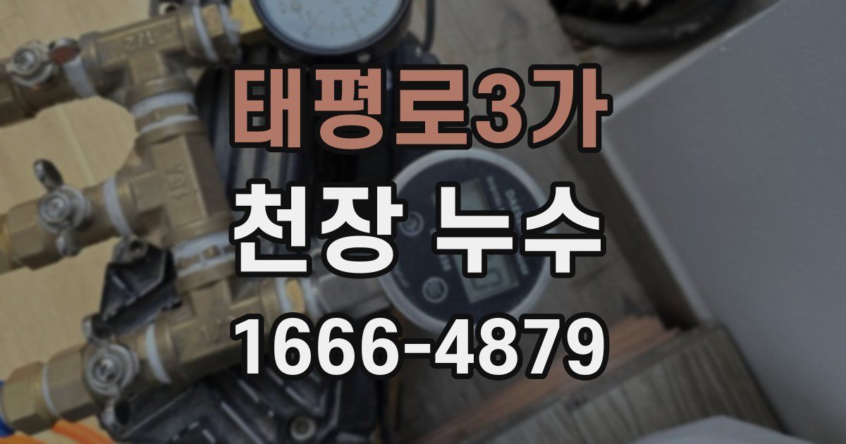 태평로3가 천장 누수