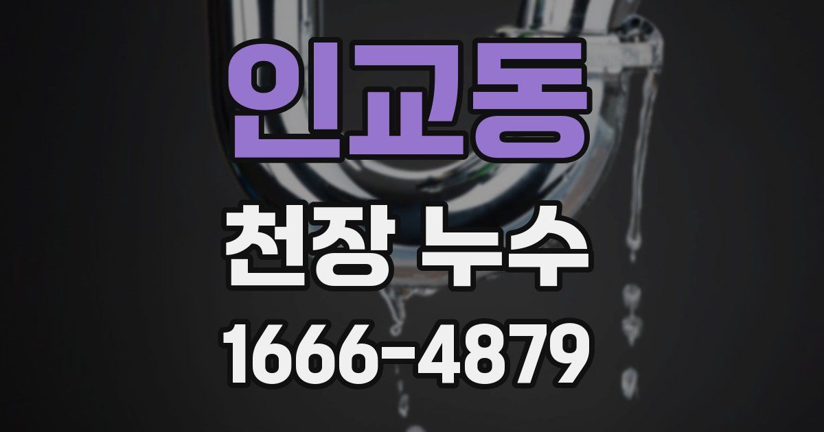 인교동 천장 누수