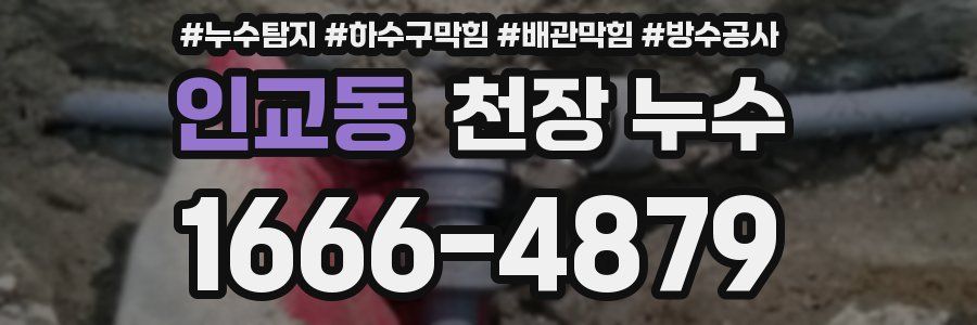 인교동 천장 누수
