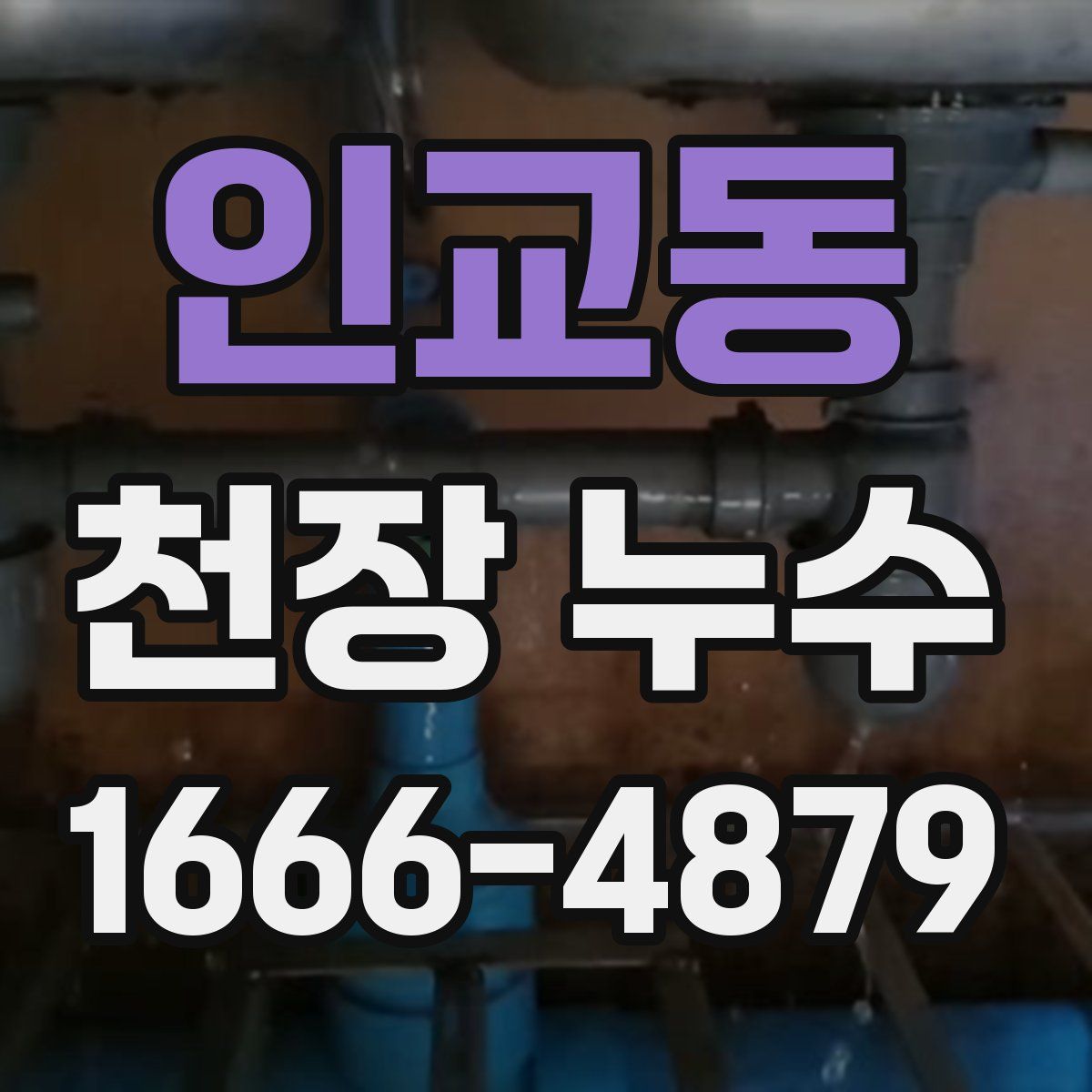 인교동 천장 누수