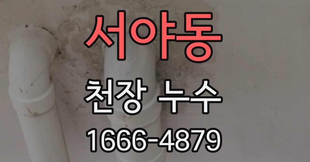 서야동 천장 누수
