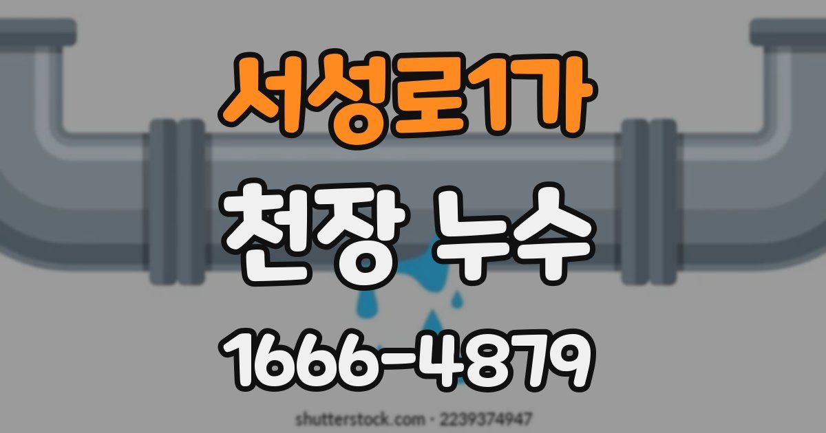 서성로1가 천장 누수