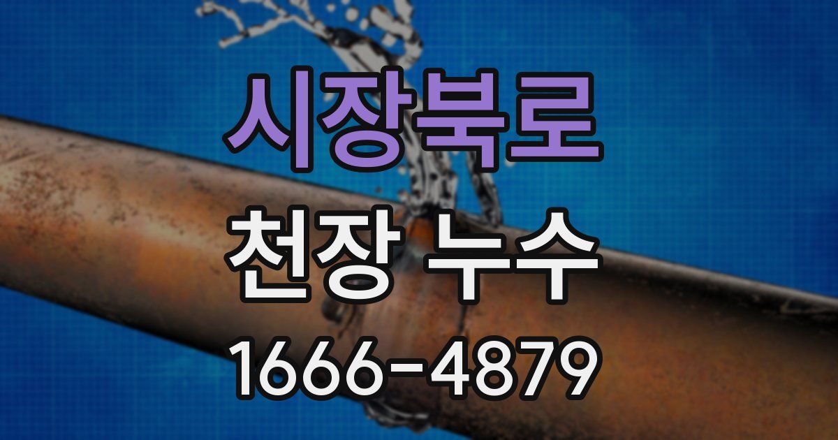 시장북로 천장 누수