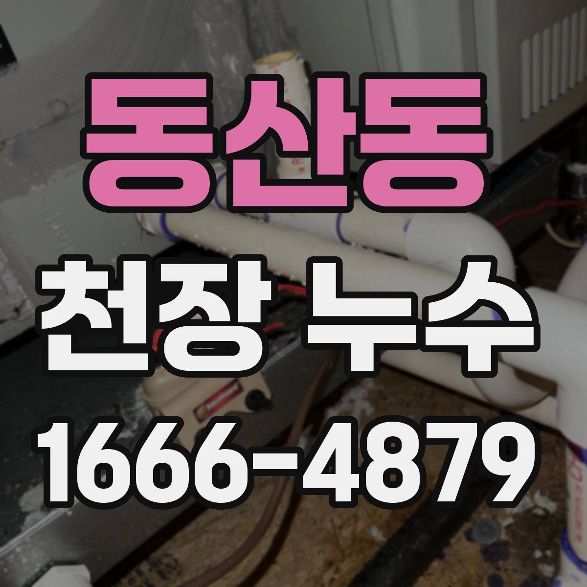동산동 천장 누수