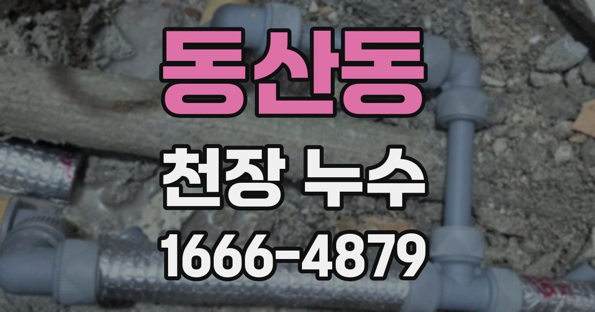 동산동 천장 누수