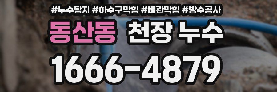 동산동 천장 누수