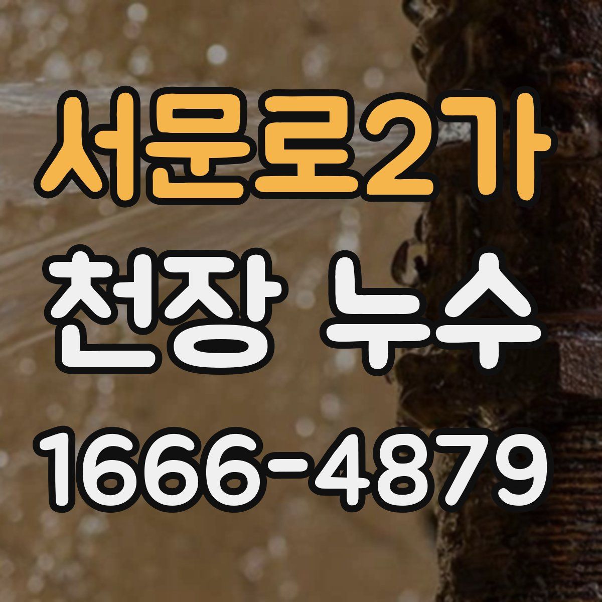 서문로2가 천장 누수