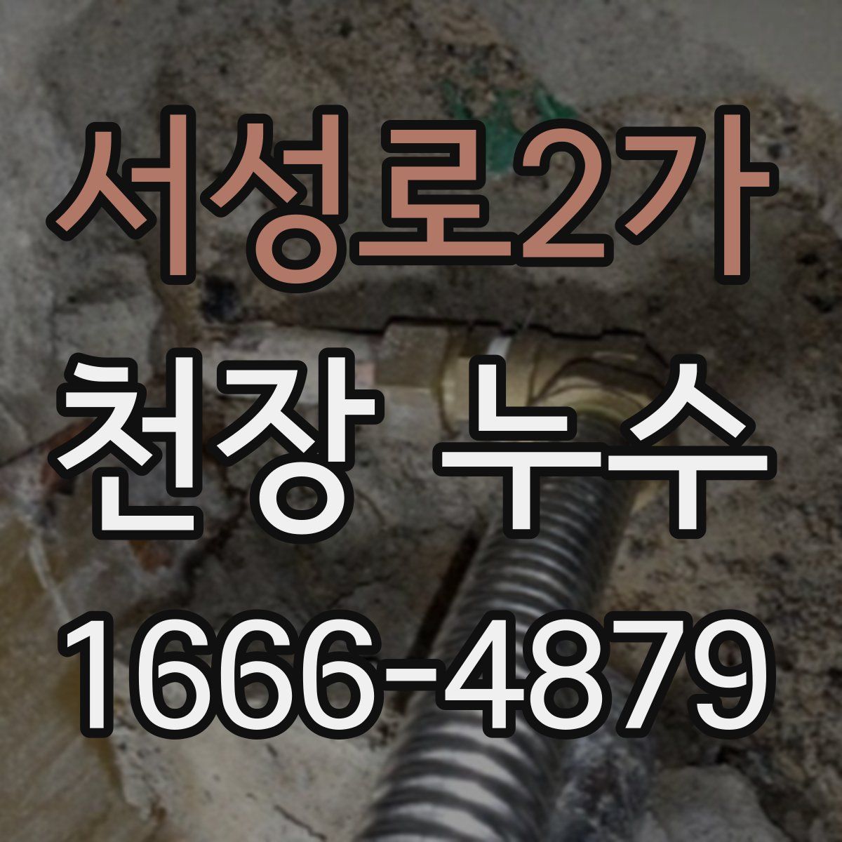 서성로2가 천장 누수