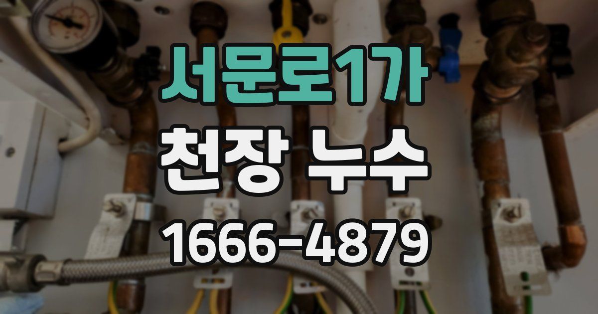 서문로1가 천장 누수