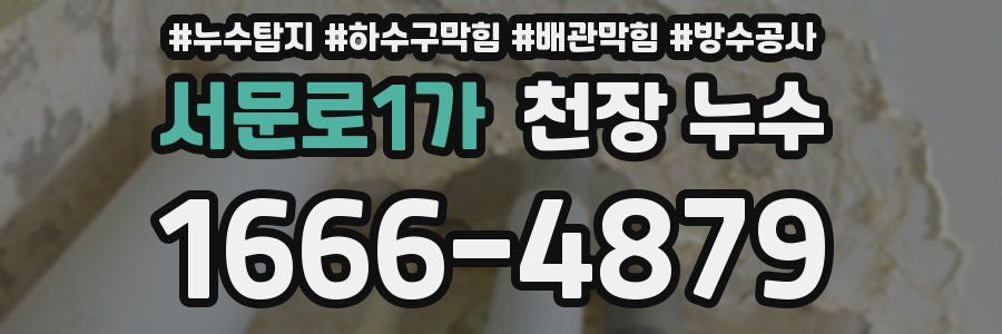 서문로1가 천장 누수