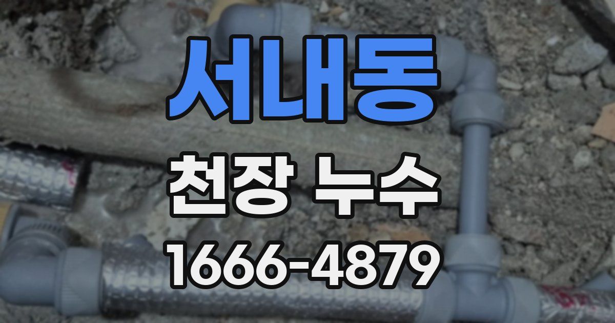서내동 천장 누수