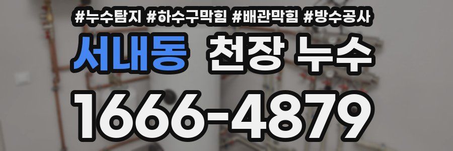 서내동 천장 누수