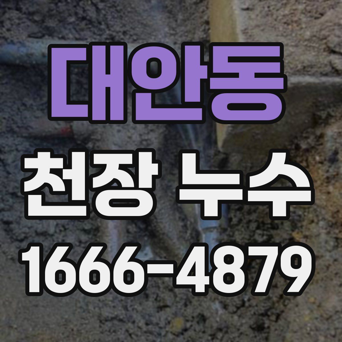 대안동 천장 누수