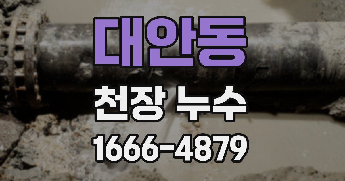 대안동 천장 누수