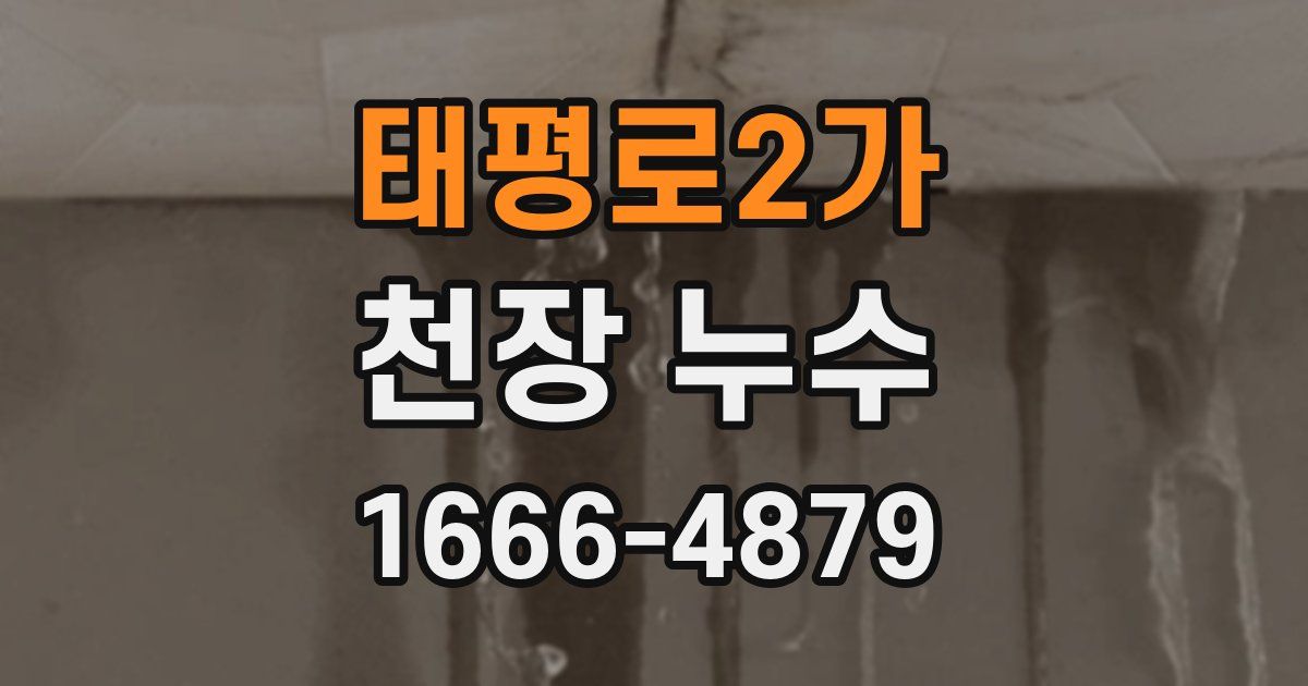 태평로2가 천장 누수