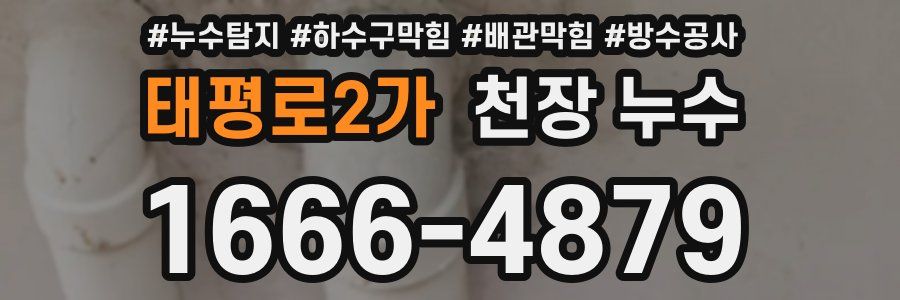 태평로2가 천장 누수