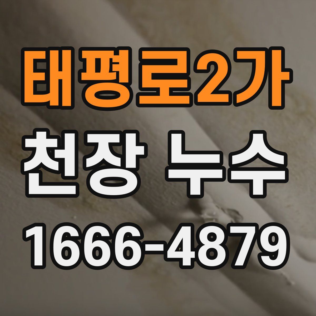 태평로2가 천장 누수