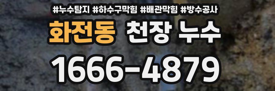 화전동 천장 누수