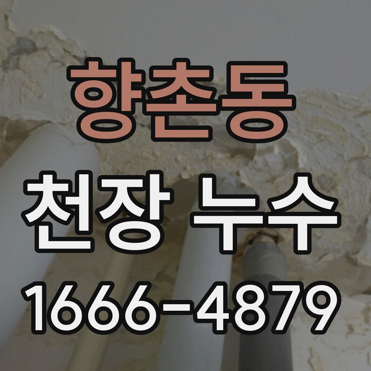 향촌동 천장 누수