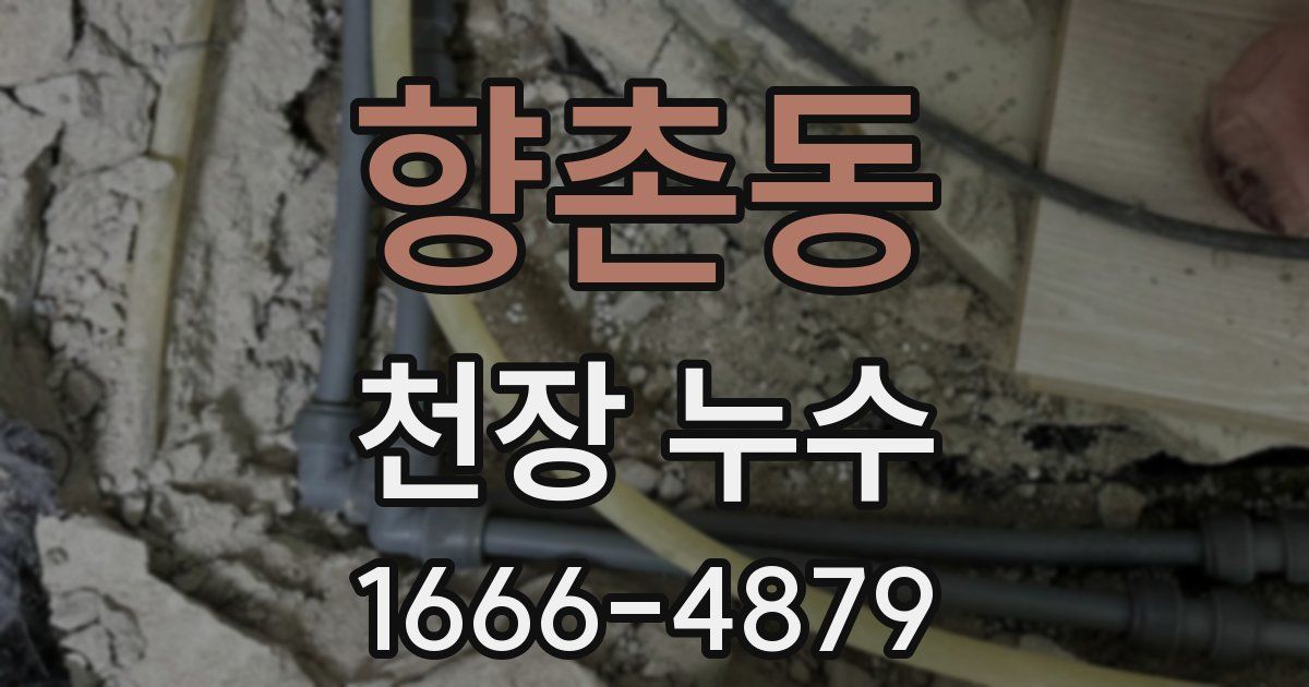 향촌동 천장 누수