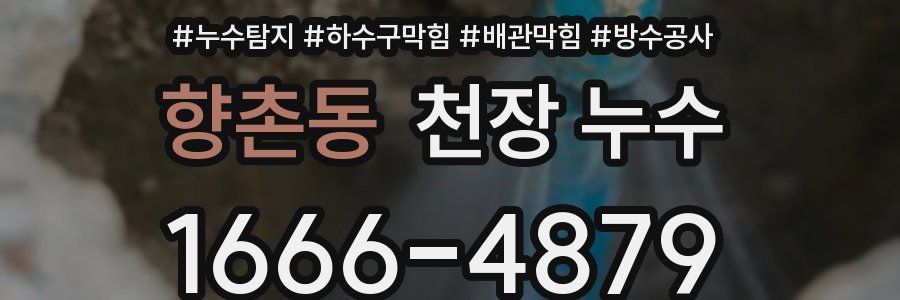 향촌동 천장 누수