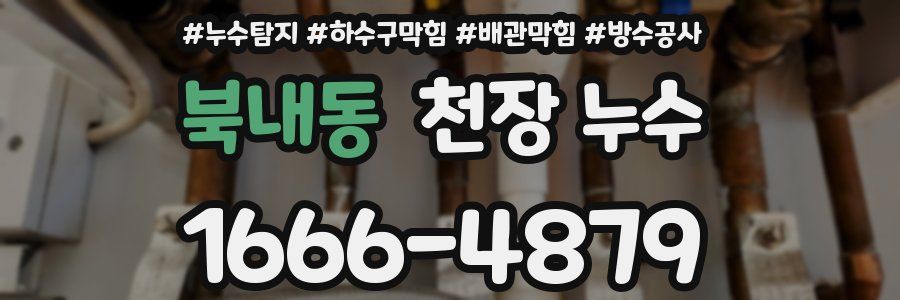 북내동 천장 누수